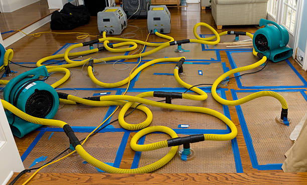 Professional Structural Drying And Dehumidification technician working in Deer Park, IL